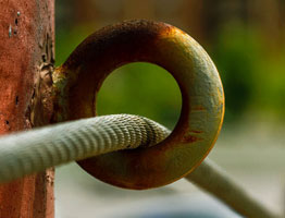 在线网页发短信